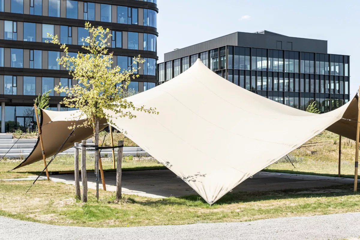Park 7 - Organic Tent